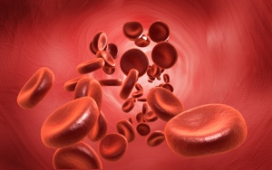 Obrázek - krevní buňky