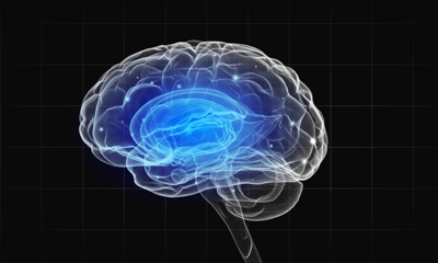 Obrázek mozku